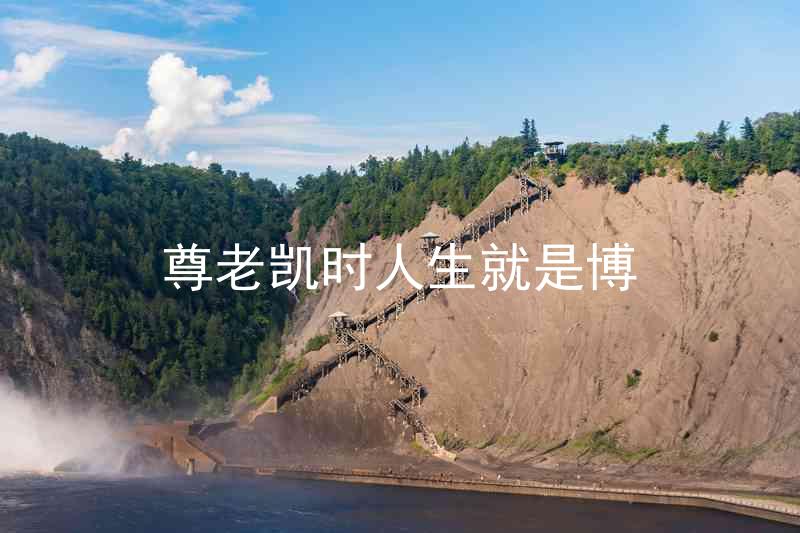 尊老凯时人生就是博