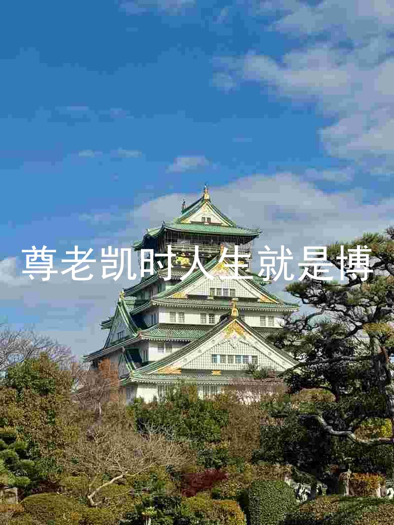 尊老凯时人生就是博