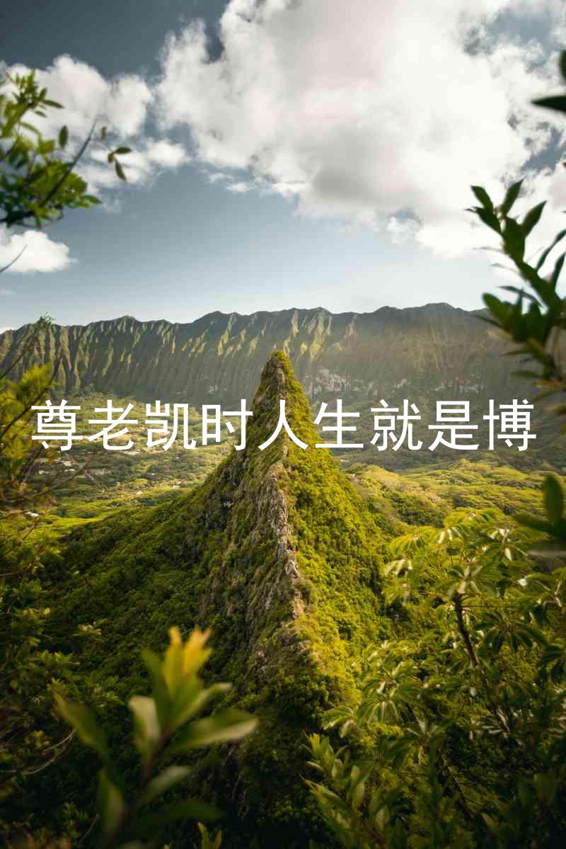 尊老凯时人生就是博